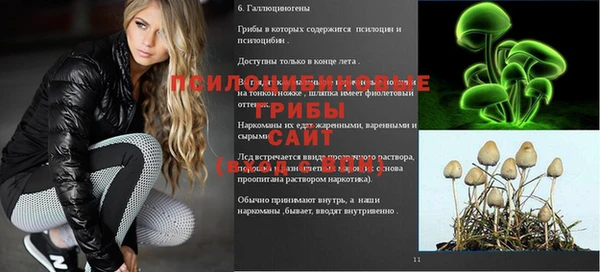 прущий лед Волосово